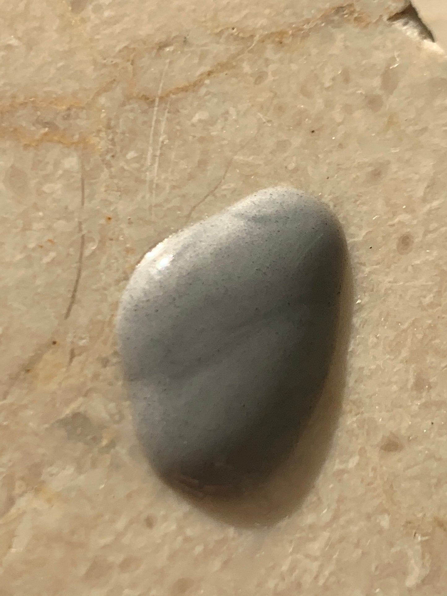 Charcoal & Tea Tree Gel Facial Cleanser